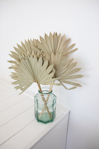 Natural dry palm leaves